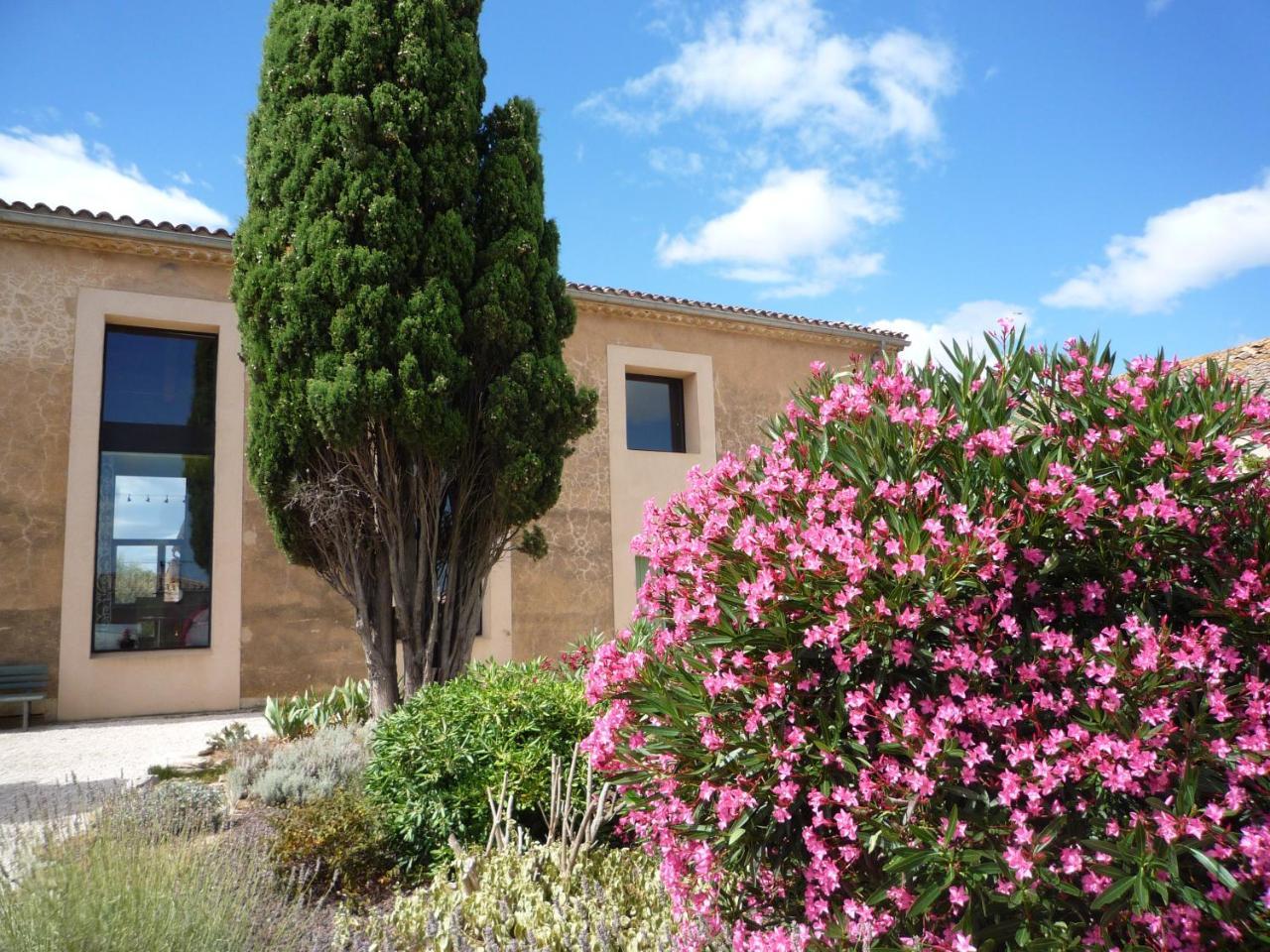 Chambre D'Hotes Nature Et Saveurs Boutenac Exterior foto